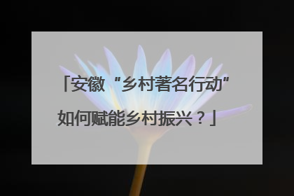安徽“乡村著名行动”如何赋能乡村振兴？