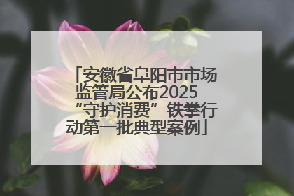 安徽省阜阳市市场监管局公布2025“守护消费”铁拳行动第一批典型案例
