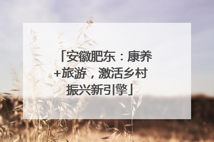 安徽肥东：康养+旅游，激活乡村振兴新引擎