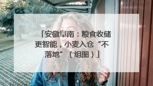 安徽阜南：粮食收储更智能，小麦入仓“不落地”（组图）