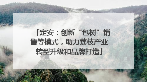 定安：创新“包树”销售等模式，助力荔枝产业转型升级和品牌打造