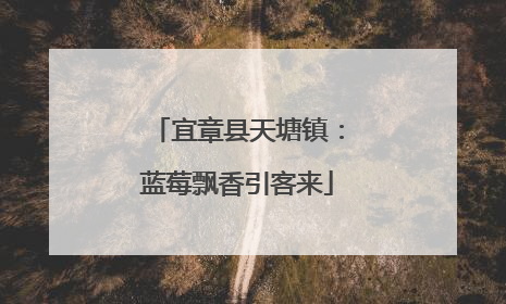 宜章县天塘镇：蓝莓飘香引客来