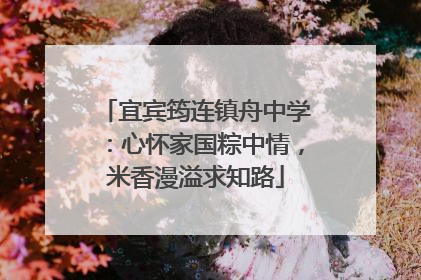宜宾筠连镇舟中学：心怀家国粽中情，米香漫溢求知路