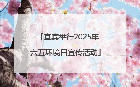 宜宾举行2025年六五环境日宣传活动