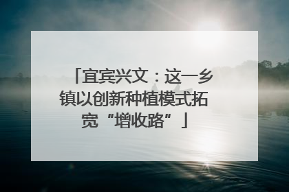 宜宾兴文：这一乡镇以创新种植模式拓宽“增收路”