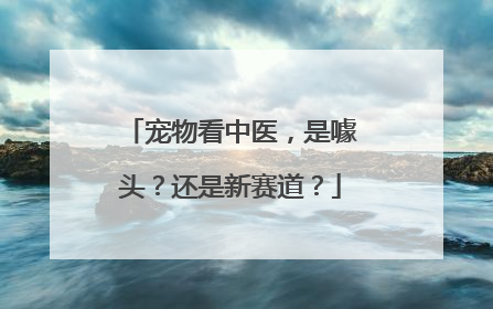 宠物看中医，是噱头？还是新赛道？