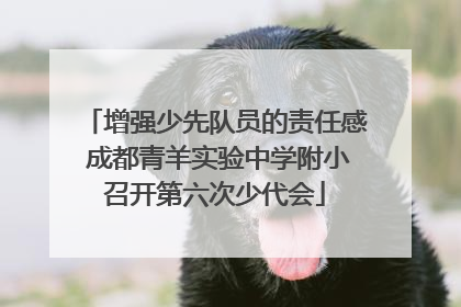 增强少先队员的责任感 成都青羊实验中学附小召开第六次少代会