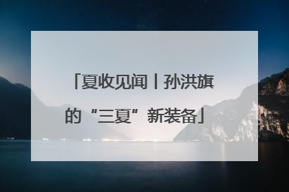 夏收见闻丨孙洪旗的“三夏”新装备