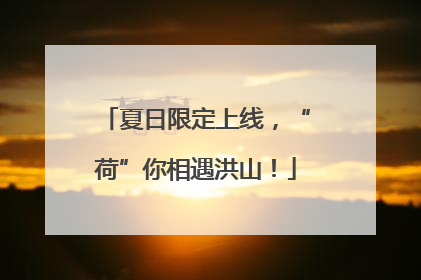 夏日限定上线，“荷”你相遇洪山！