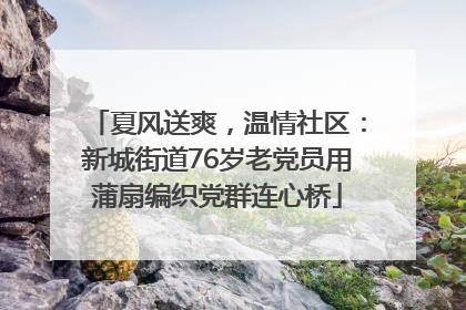 夏风送爽，温情社区：新城街道76岁老党员用蒲扇编织党群连心桥