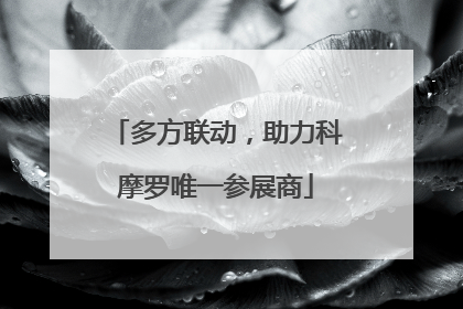 多方联动，助力科摩罗唯一参展商
