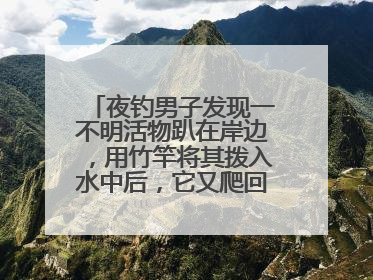 夜钓男子发现一不明活物趴在岸边，用竹竿将其拨入水中后，它又爬回岸边……