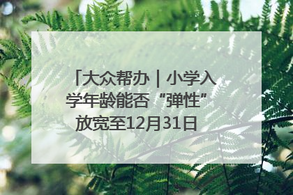 大众帮办｜小学入学年龄能否“弹性”放宽至12月31日？有地方已在探索