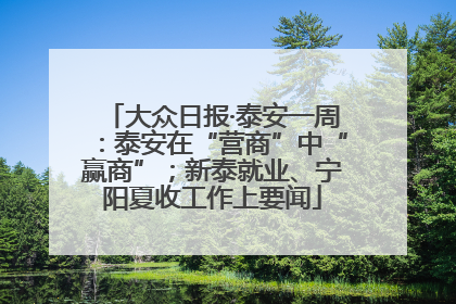 大众日报·泰安一周：泰安在“营商”中“赢商”；新泰就业、宁阳夏收工作上要闻