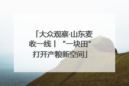 大众观察·山东麦收一线丨“一块田”打开产粮新空间