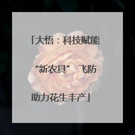 大悟：科技赋能“新农具” 飞防助力花生丰产