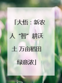 大悟：新农人“智”耕沃土 万亩稻田绿意浓