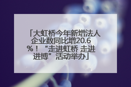 大虹桥今年新增法人企业数同比增20.6%！“走进虹桥 走进进博”活动举办