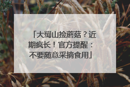 大蜀山捡蘑菇？近期疯长！官方提醒：不要随意采摘食用