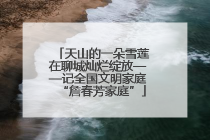 天山的一朵雪莲在聊城灿烂绽放——记全国文明家庭“詹春芳家庭”