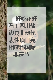 好吃还好看！四川盐边县非遗代表性项目亮相成都国际非遗节