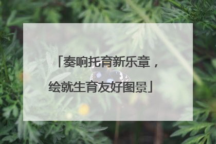 奏响托育新乐章，绘就生育友好图景