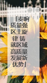 奏响质量强区主旋律 铸就区域高质量发展新优势