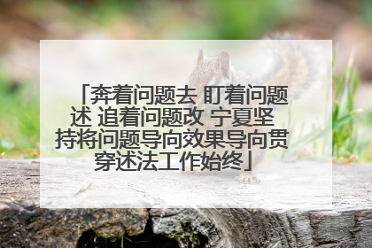 奔着问题去 盯着问题述 追着问题改 宁夏坚持将问题导向效果导向贯穿述法工作始终