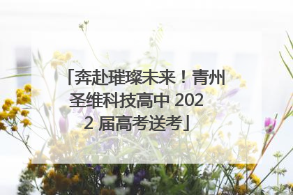 奔赴璀璨未来！青州圣维科技高中 2022 届高考送考