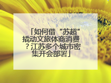 如何借“苏超”撬动文旅体商消费？江苏多个城市密集开会部署