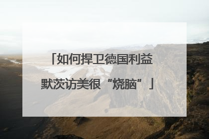 如何捍卫德国利益 默茨访美很“烧脑”