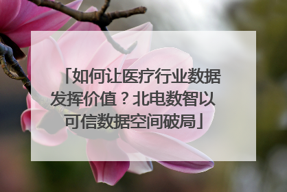 如何让医疗行业数据发挥价值？北电数智以可信数据空间破局