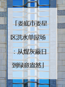 娄底市娄星区洪水单屋场：从煤灰蔽日到绿意盎然