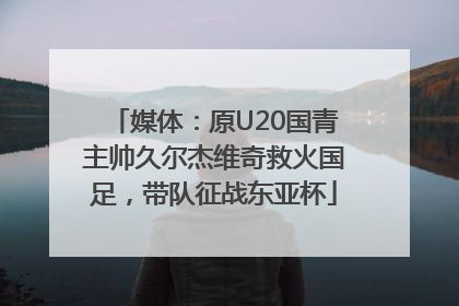 媒体：原U20国青主帅久尔杰维奇救火国足，带队征战东亚杯