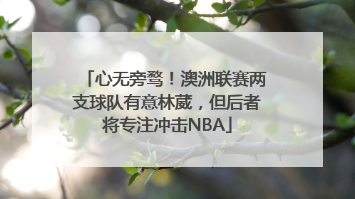 心无旁骛！澳洲联赛两支球队有意林葳，但后者将专注冲击NBA