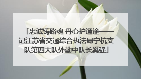 忠诚铸路魂 丹心护通途——记江苏省交通综合执法局宁杭支队第四大队外勤中队长奚强