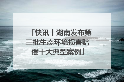 快讯丨湖南发布第三批生态环境损害赔偿十大典型案例