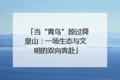 当“青鸟”掠过舜皇山：一场生态与文明的双向奔赴