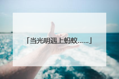 当光明遇上蚂蚁……