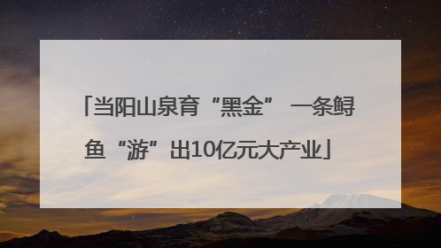 当阳山泉育“黑金” 一条鲟鱼“游”出10亿元大产业
