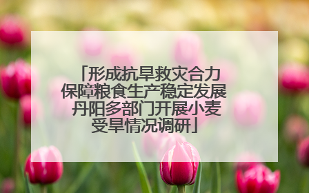 形成抗旱救灾合力 保障粮食生产稳定发展 丹阳多部门开展小麦受旱情况调研