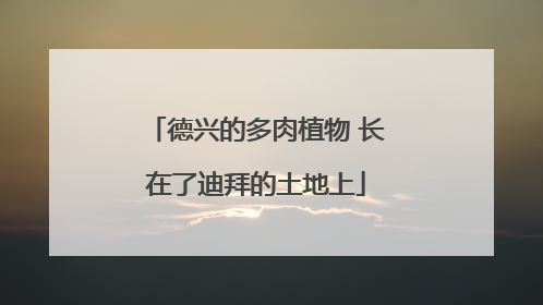 德兴的多肉植物 长在了迪拜的土地上