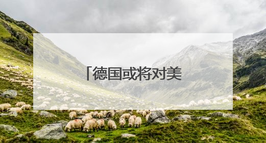 德国或将对美国科技巨头征收10%数字税