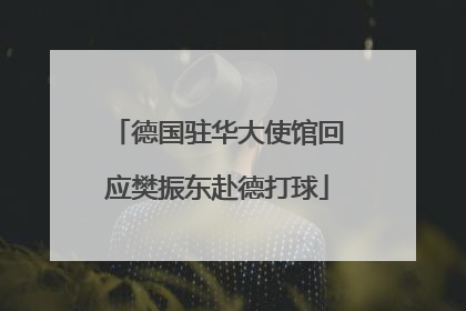 德国驻华大使馆回应樊振东赴德打球
