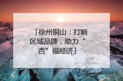 徐州铜山：打响区域品牌，助力“杏”福经济