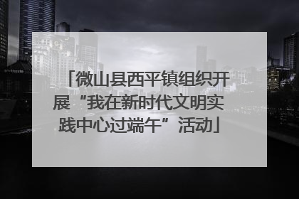 微山县西平镇组织开展“我在新时代文明实践中心过端午”活动