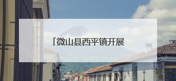 微山县西平镇开展“全国防灾减灾日”主题宣传活动