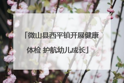 微山县西平镇开展健康体检 护航幼儿成长