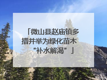 微山县赵庙镇多措并举为绿化苗木“补水解渴”