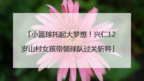 小篮球托起大梦想！兴仁12岁山村女孩带领球队过关斩将